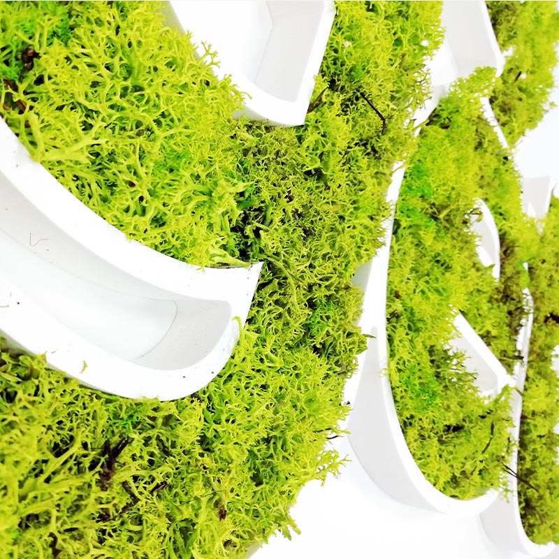 détail de logo végétal en mousse naturelle lichen